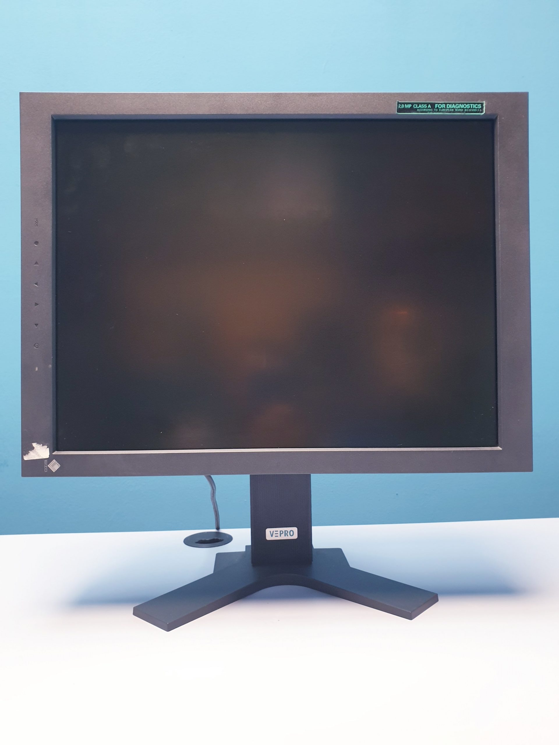 EIZO GS 220 // GS220 Medical LCD Monitor medizinischer Bildschirm