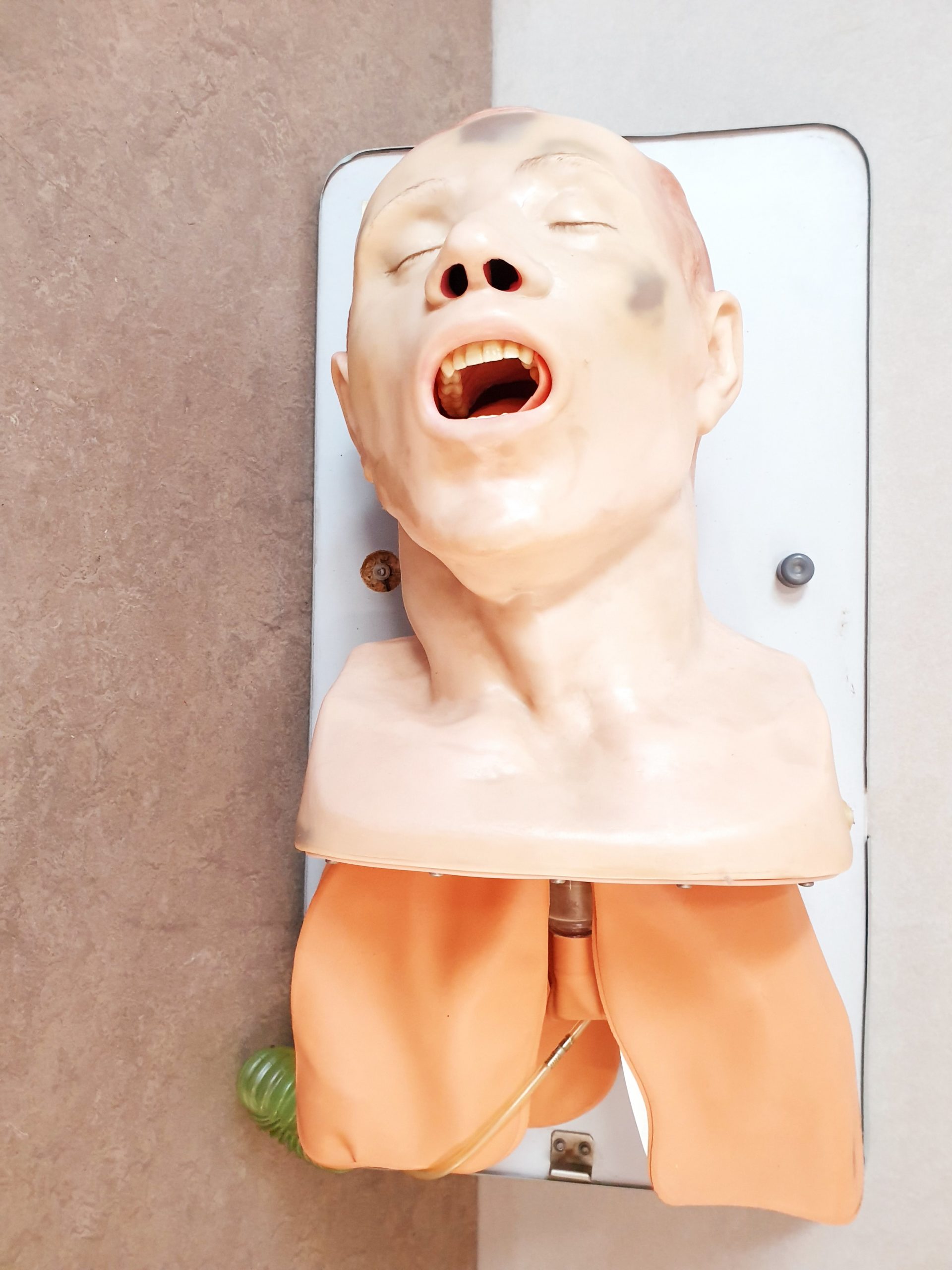 Laerdal Atemwegsmanagement Trainer
