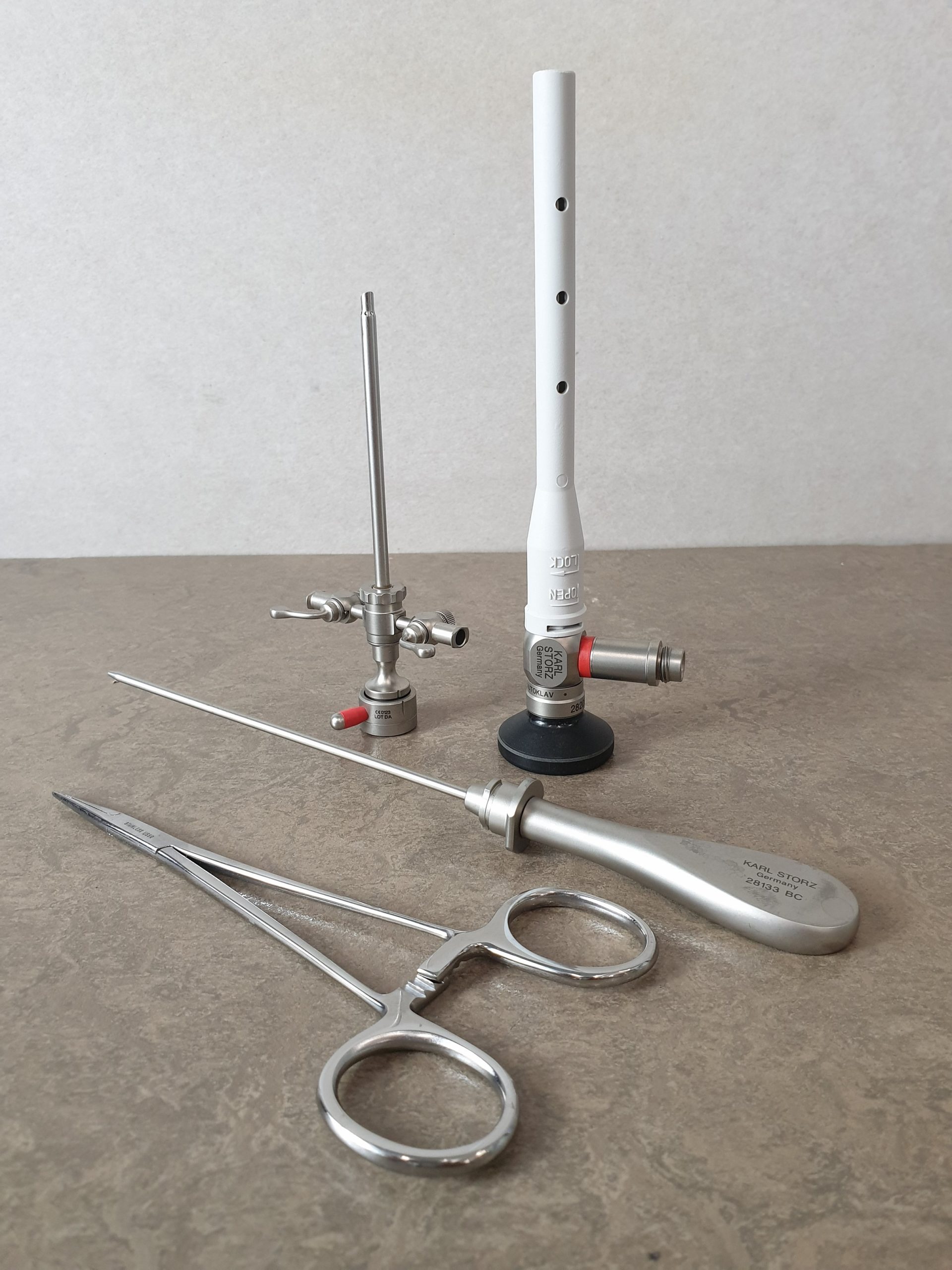 Karl Storz Hopkins II 28208 BC // 30° 28133 BC