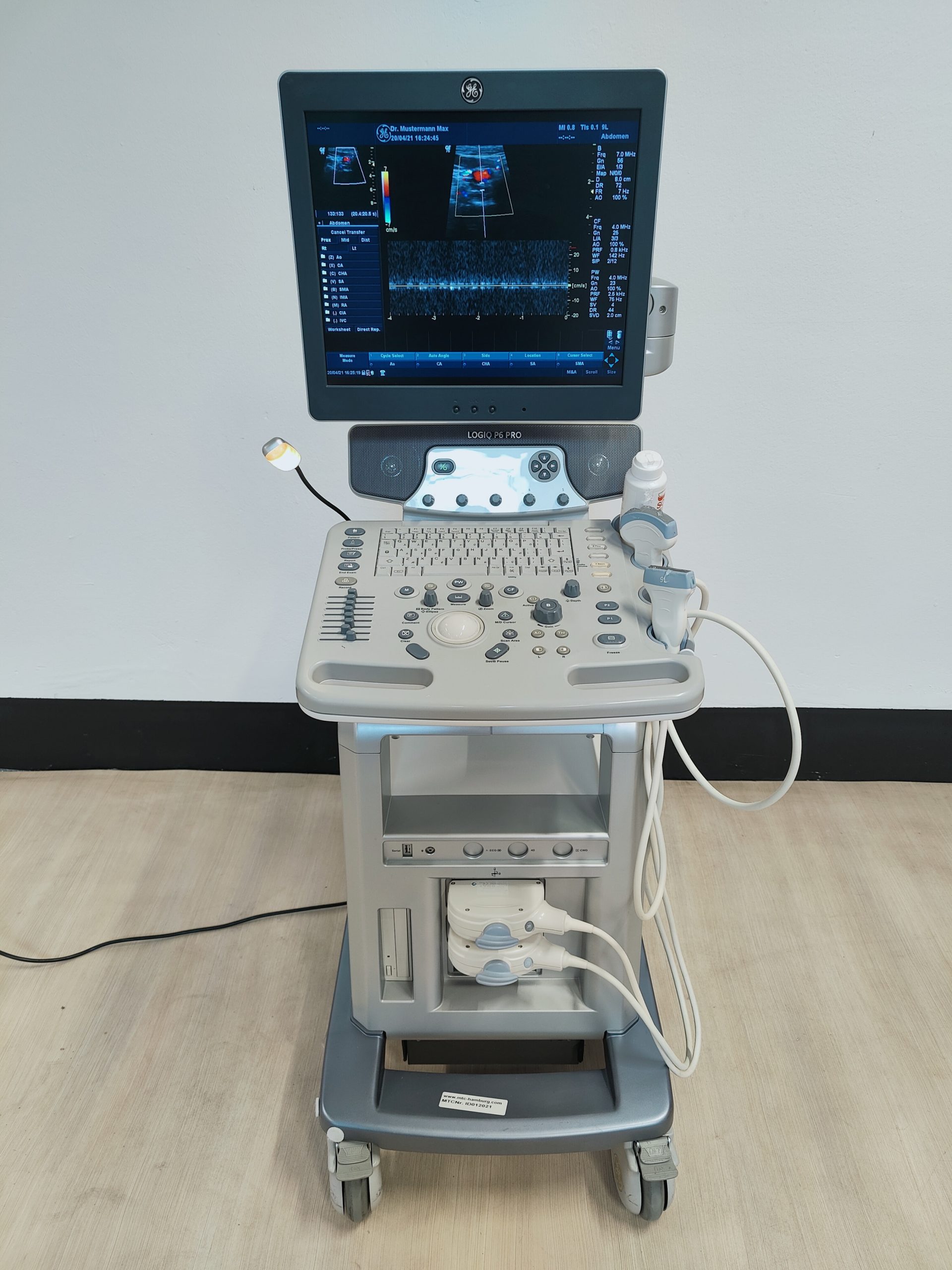 GE LOGIQ P6 Pro 4C KONVEX 9L Linear DOM 2010